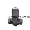 自密封鍛鋼止回閥，上海開茲閥門