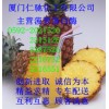 菠蘿蛋白酶，福建菠蘿蛋白酶生產(chǎn)商，廈門哪里有菠蘿蛋白酶
