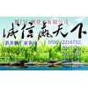 茶多糖，福建茶多糖生產(chǎn)商，廈門哪里有茶多糖食品級