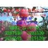 L-蘋果酸，福建哪里有L-蘋果酸生產(chǎn)商，廈門L-蘋果酸報(bào)價