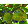 香蘭素，廠家直供香蘭素