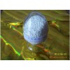 高質(zhì)量丙烯磺酸鈉 SAS---中國的生產(chǎn)廠家
