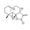 供應小白菊內(nèi)酯  20554-84-1