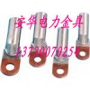 供應(yīng)長沙DTL銅鋁系列接線端子