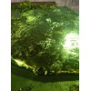 堿性紫，5BN，2B，堿基青蓮，548-62-9