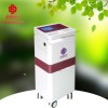 產(chǎn)后康復治療儀-低頻調(diào)制脈沖原理