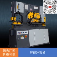 Q35系列機械多功能聯(lián)合沖剪機